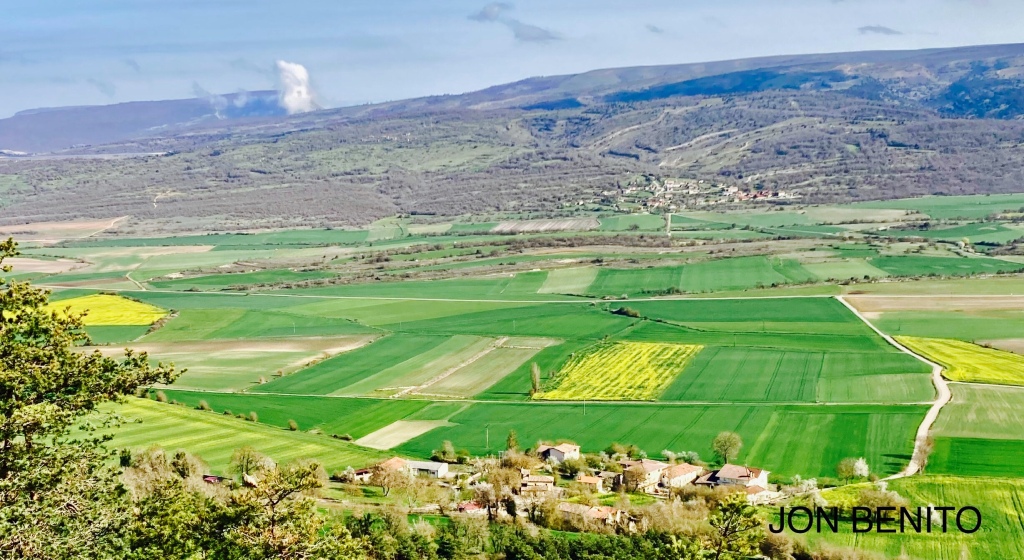 Vista panorámica del valle de Losa con campos verdes y amarillos por la colza